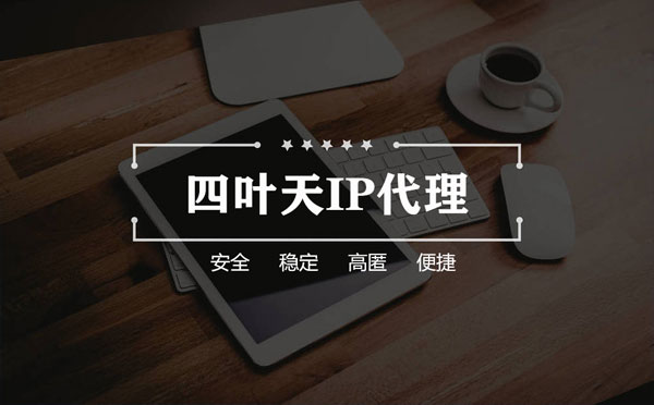 【双鸭山代理IP】如何快速搭建代理IP？怎么检查代理的效果？